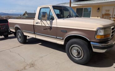 Ford-F250-1993-204386