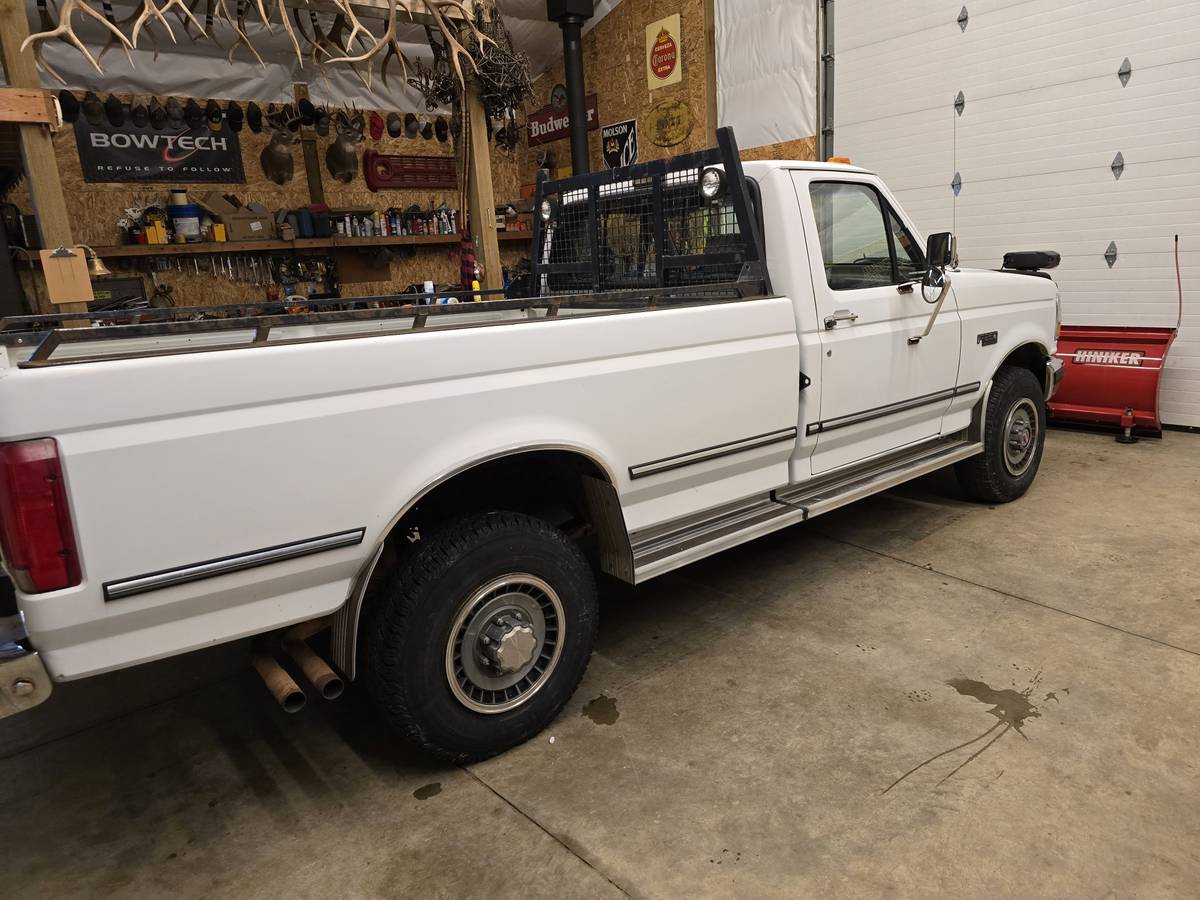 Ford-F250-4x4-1993-3