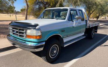 Ford-F250-4x4-1994-124154-6