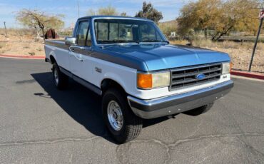 Ford-F250-4x4-long-bed-1990-225308-4