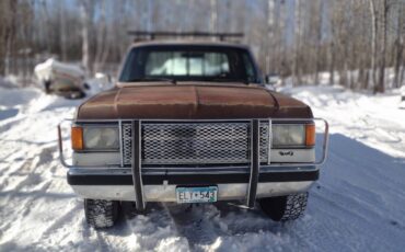 Ford-F250-lariat-1987-48280-3