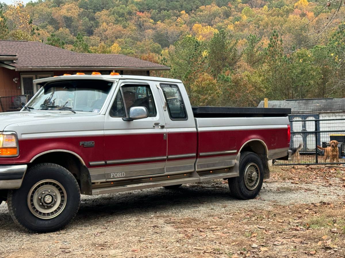 Ford-F250-turbo-diesel-1993-1