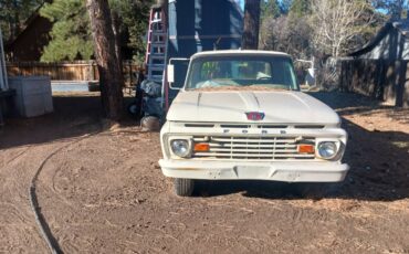 Ford-F250sd-1963-silver-16093-1