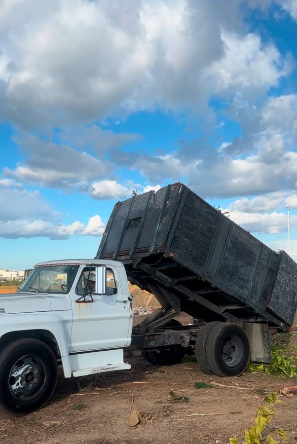 Ford-F500-dump-truck-1969