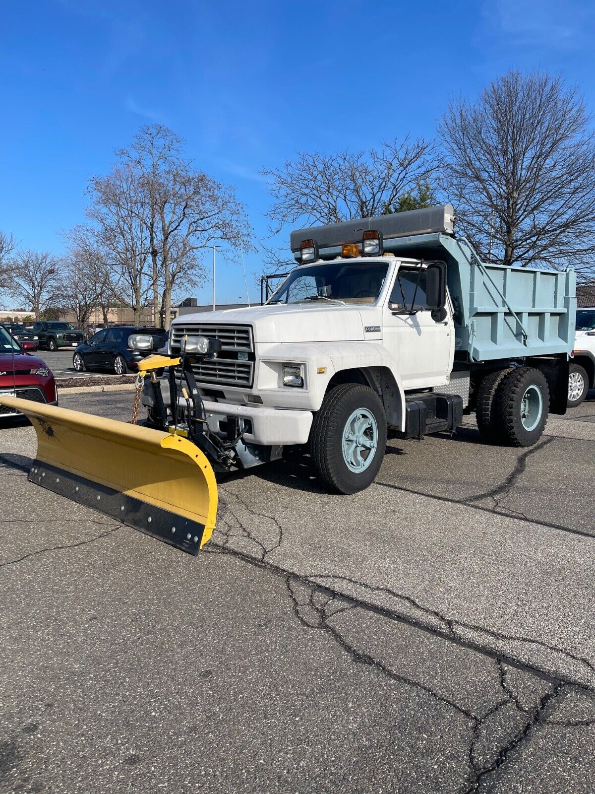 Ford-F700-1984-29