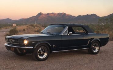 Ford-Mustang-1964-blue-74030-5