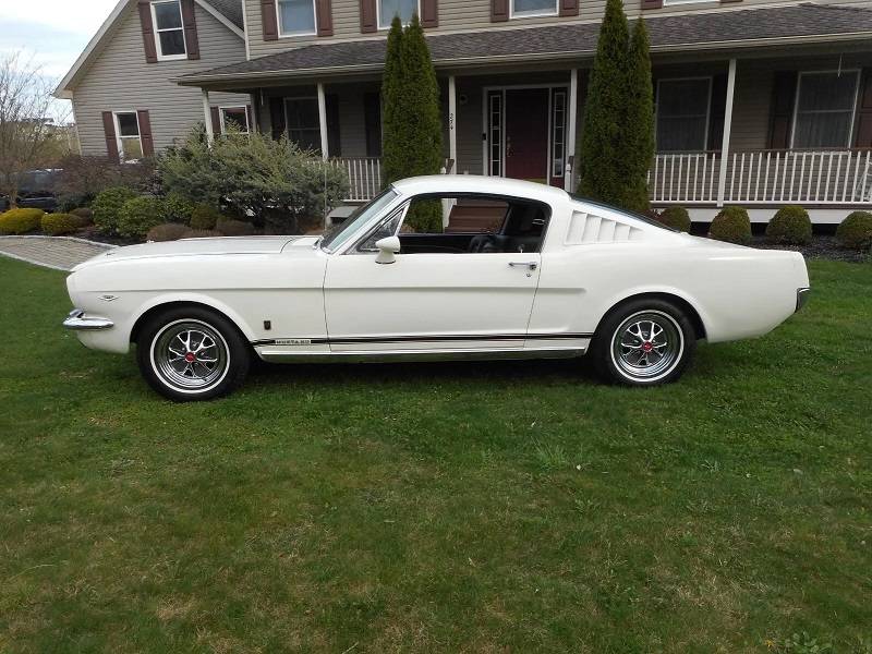 Ford-Mustang-1965-127138-1