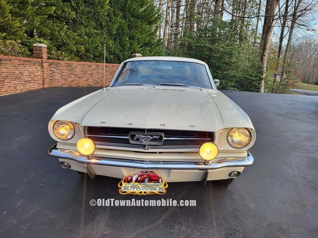 Ford-Mustang-1965-White-Black-73343-3