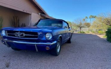 Ford-Mustang-1965-blue-8047-3