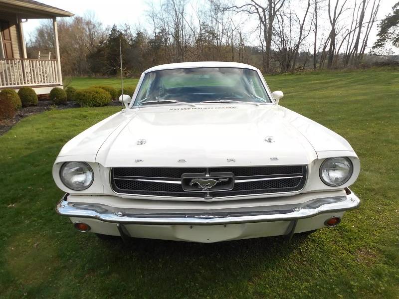 Ford-Mustang-1965-white-127138