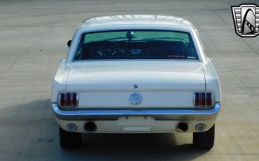 Ford-Mustang-1966-Beige-Black-20035-6