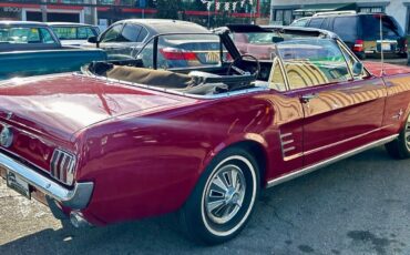 Ford-Mustang-1966-Red-Black-4905-5