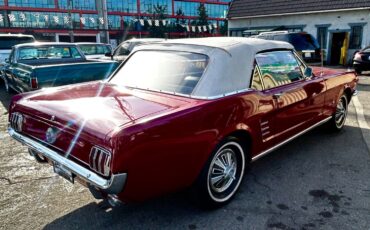 Ford-Mustang-1966-Red-Black-4905-7