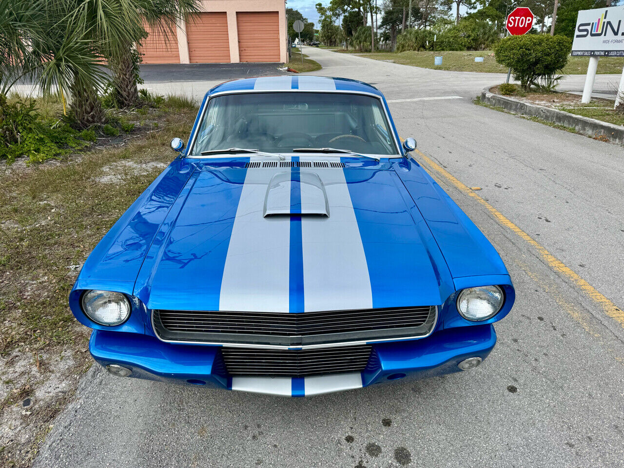 Ford-Mustang-1966-White-Black-34622-19