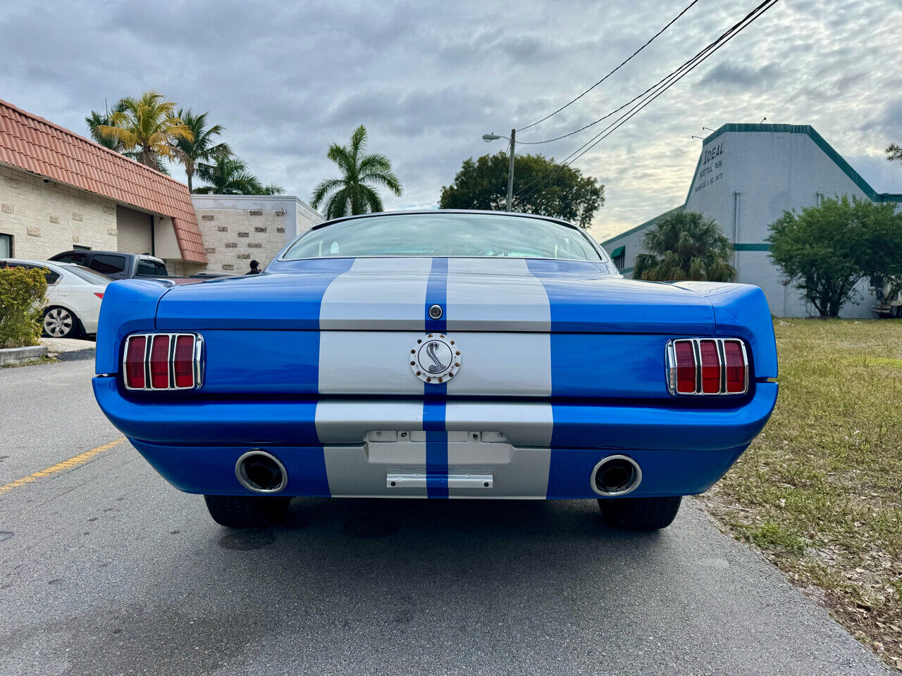 Ford-Mustang-1966-White-Black-34622-3