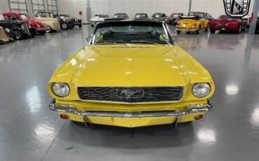 Ford-Mustang-1966-Yellow-Black-122936-2