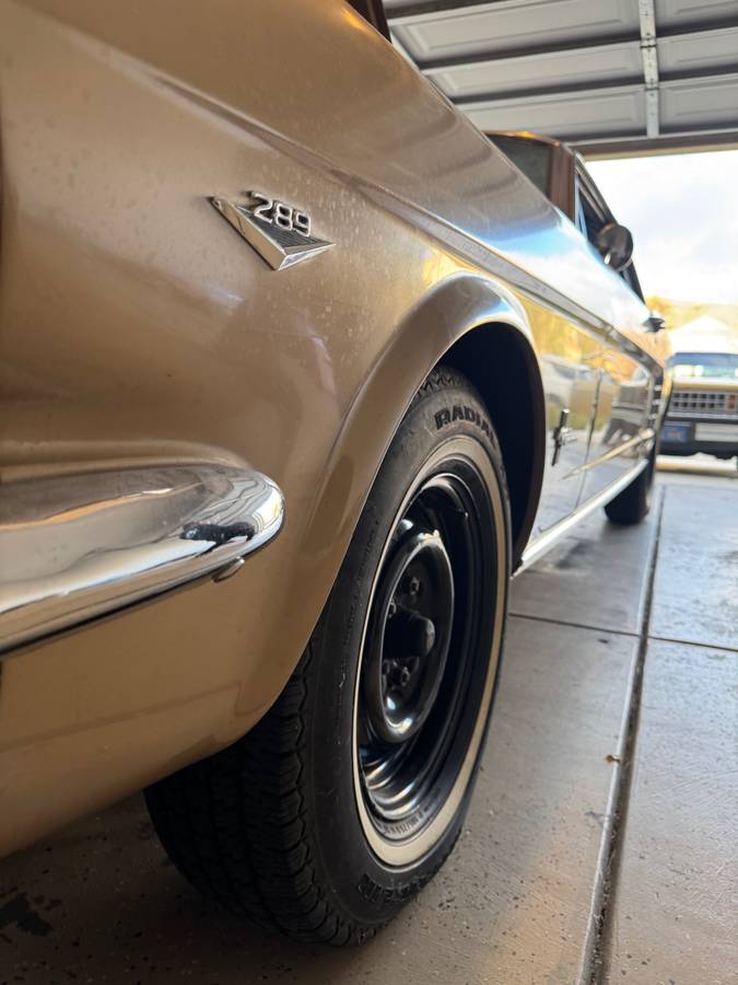 Ford-Mustang-1966-brown-156106-2