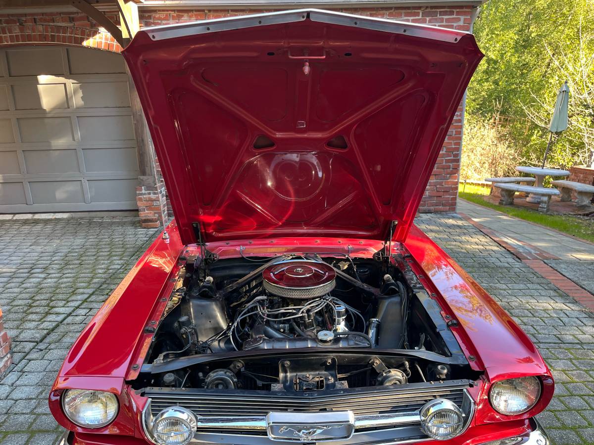 Ford-Mustang-1966-red-56166-8