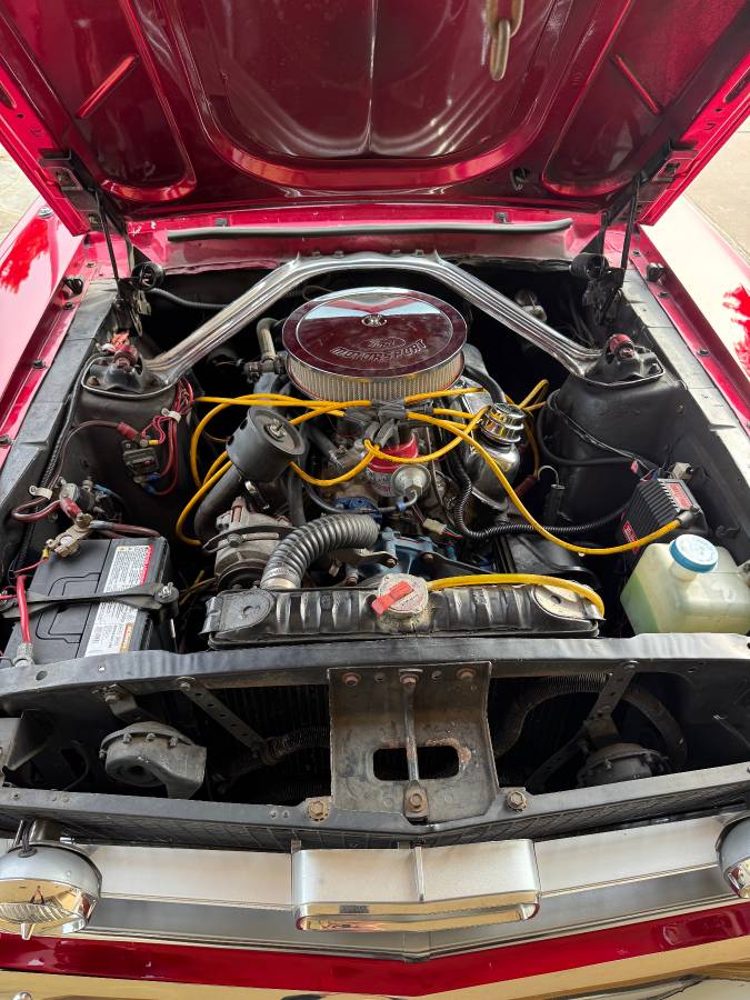 Ford-Mustang-1967-red-149588-16