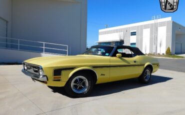 Ford-Mustang-1971-Yellow-Black-125883-2