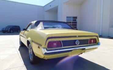 Ford-Mustang-1971-Yellow-Black-125883-8