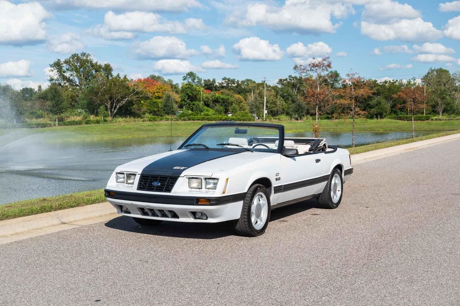 Ford-Mustang-1984-White-White-0-1