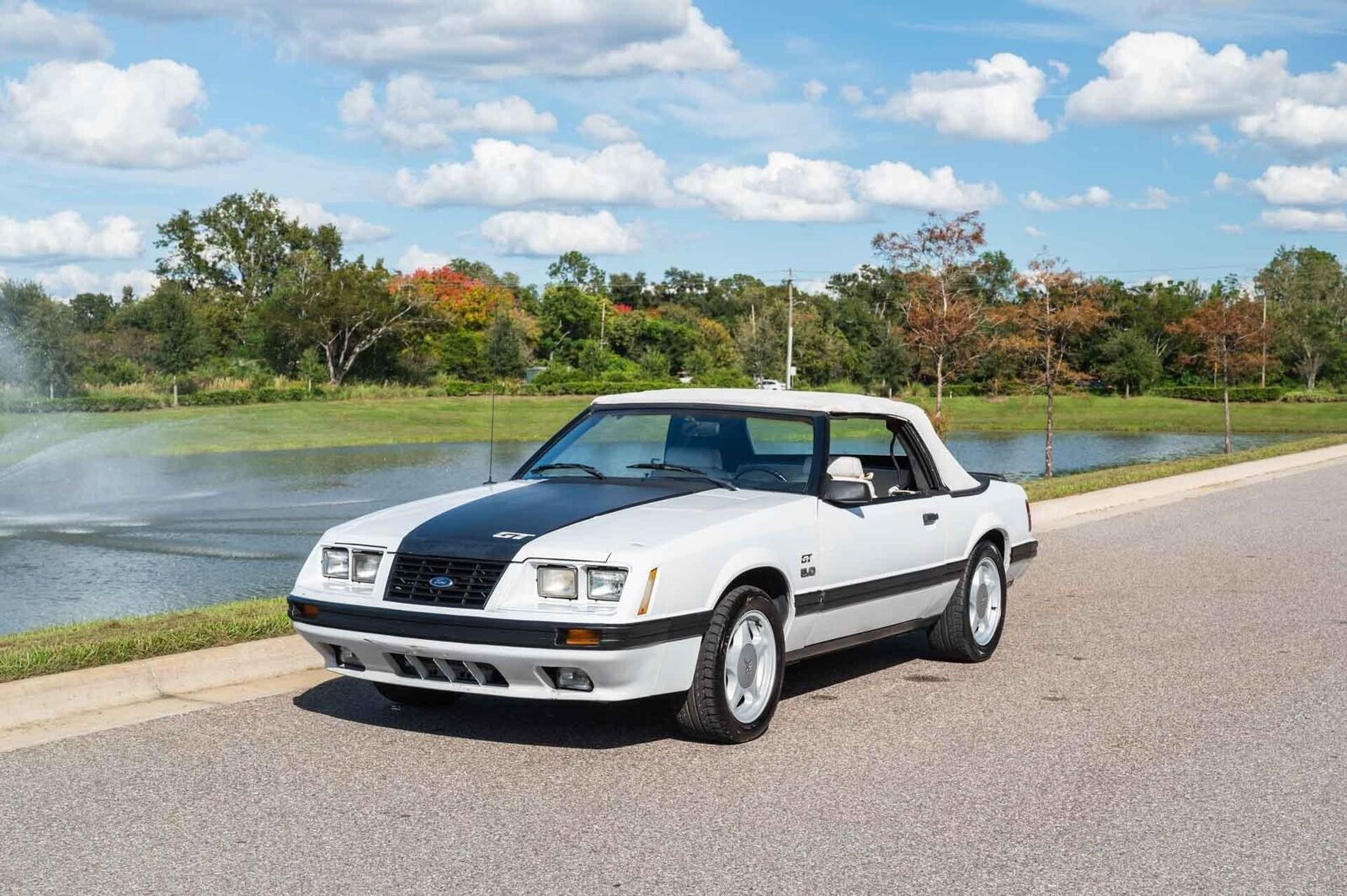 Ford-Mustang-1984-White-White-0-11