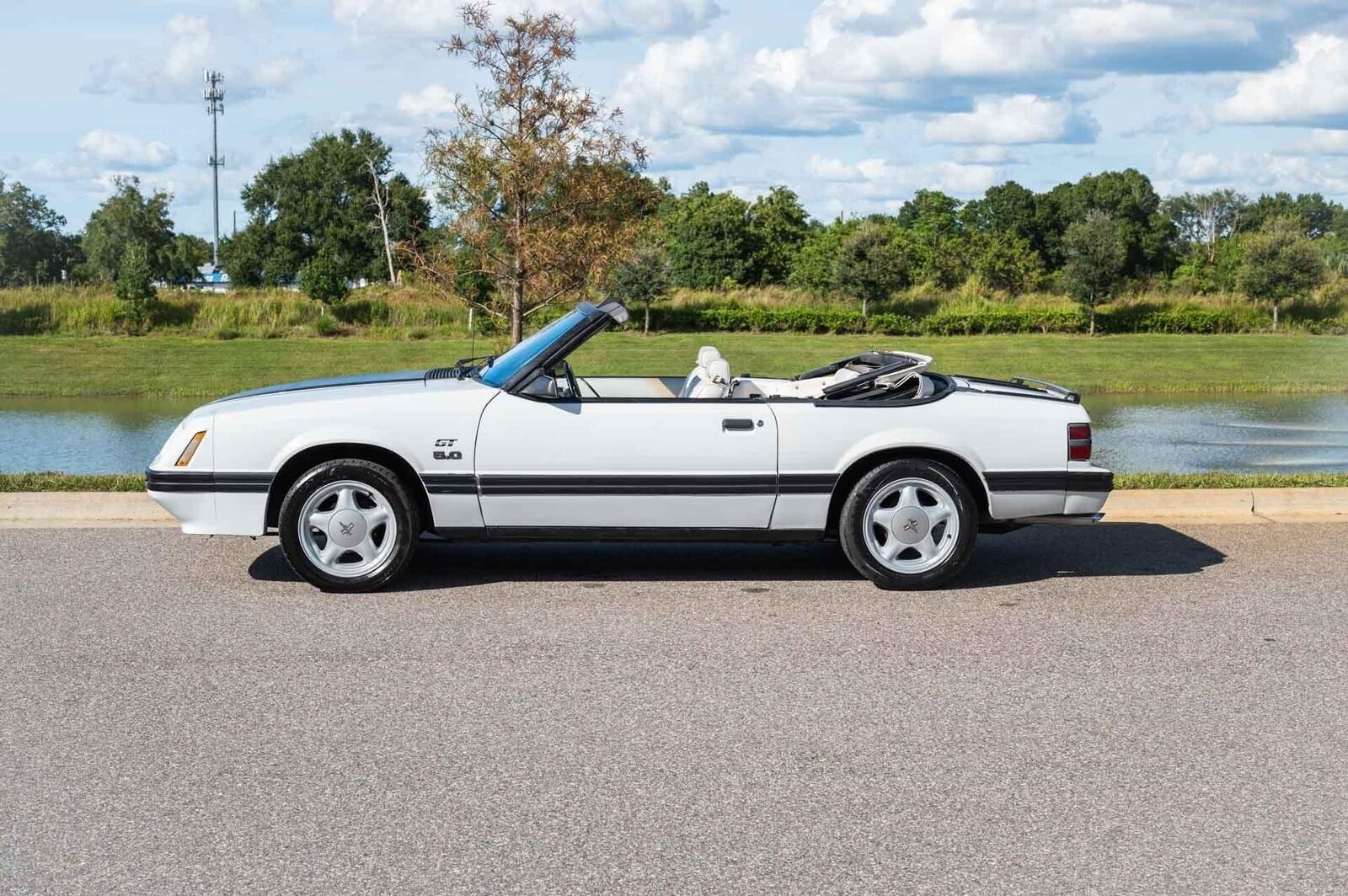 Ford-Mustang-1984-White-White-0-3