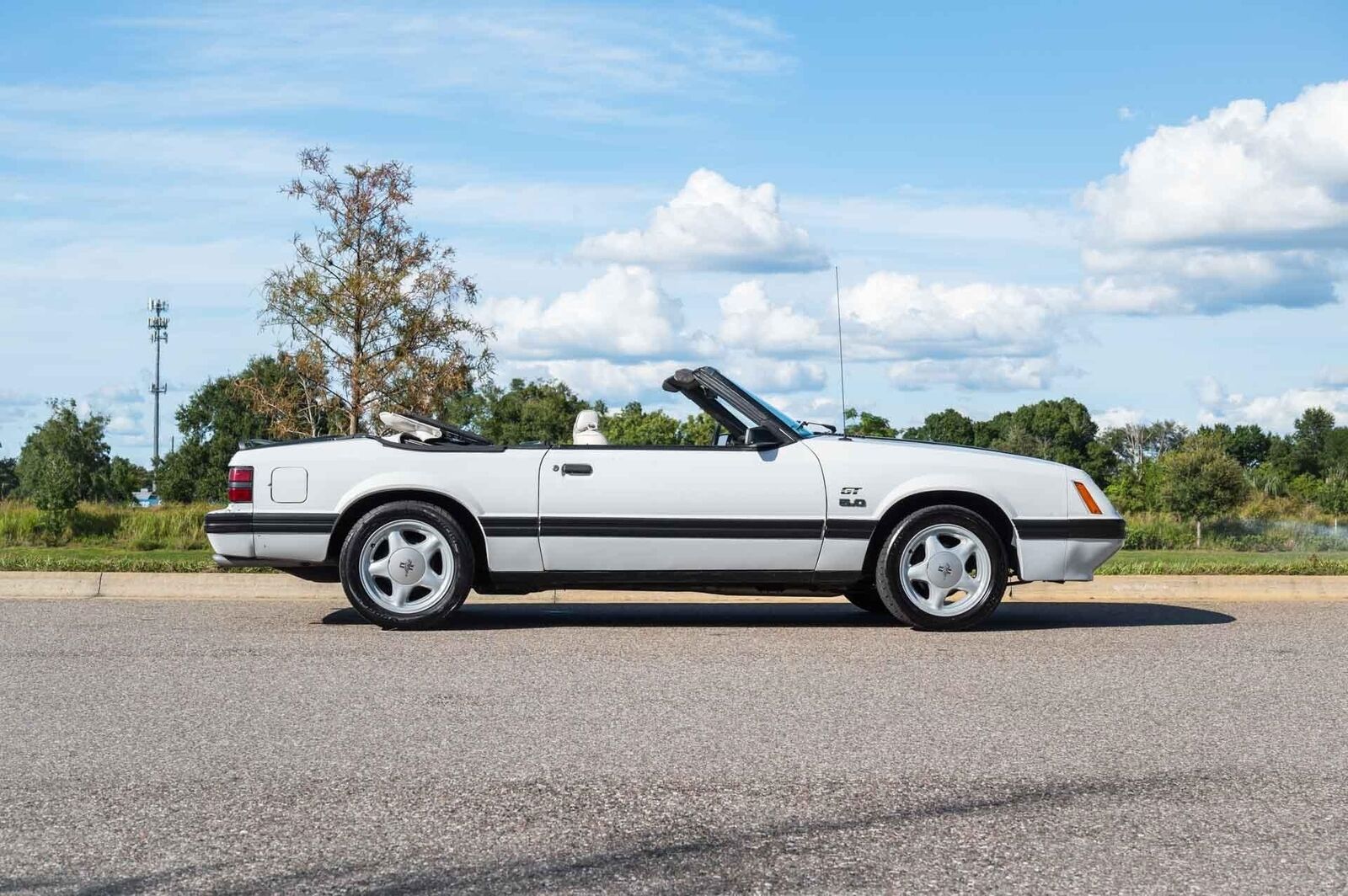 Ford-Mustang-1984-White-White-0-8