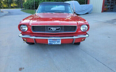 Ford-Mustang-Cabriolet-1966-Red-Black-155239-4