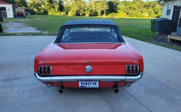 Ford-Mustang-Cabriolet-1966-Red-Black-155239-7