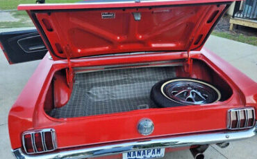 Ford-Mustang-Cabriolet-1966-Red-Black-155239-8