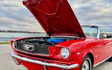 Ford-Mustang-Cabriolet-1966-Red-Black-65632-14