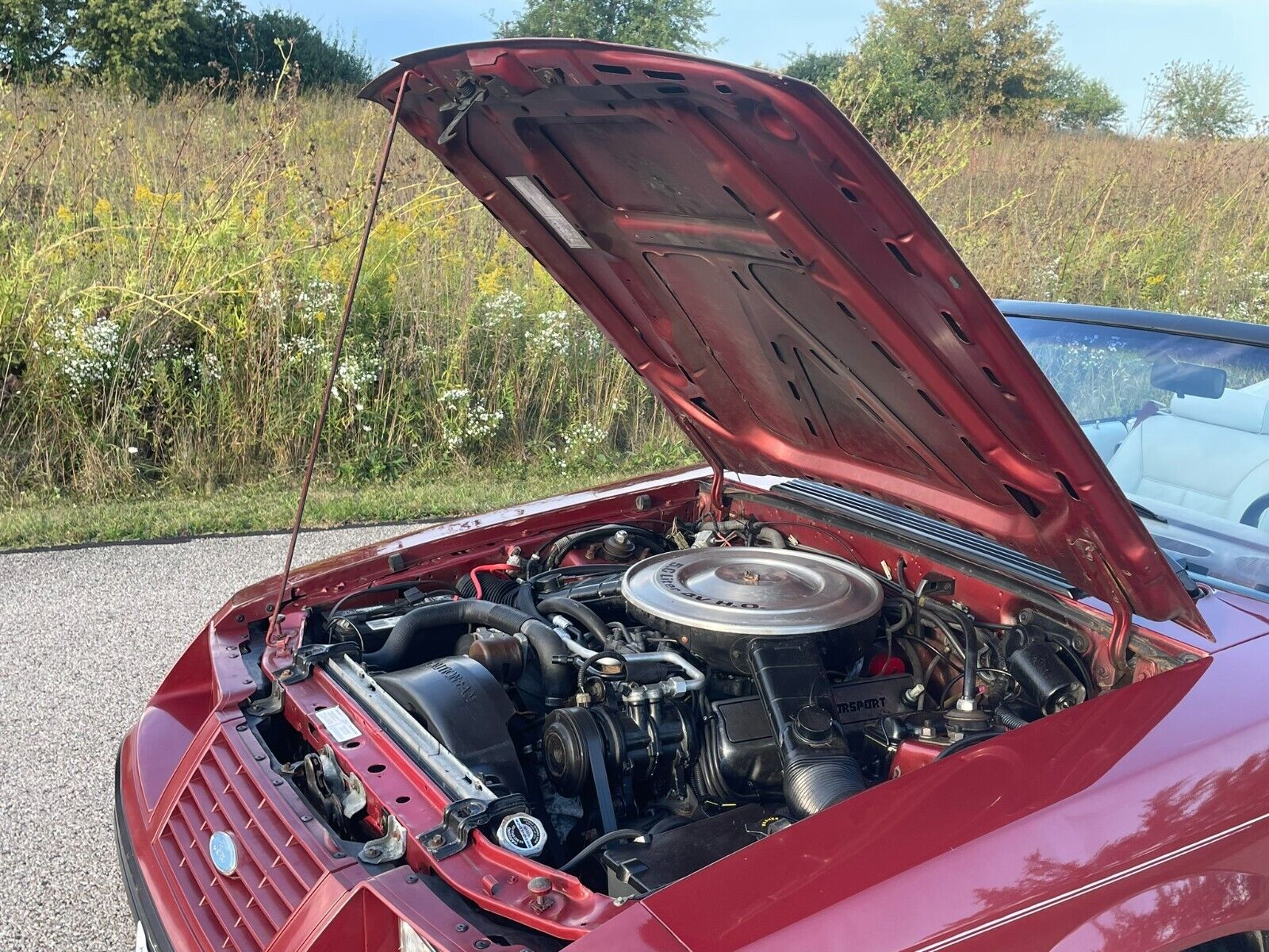 Ford-Mustang-Cabriolet-1984-10