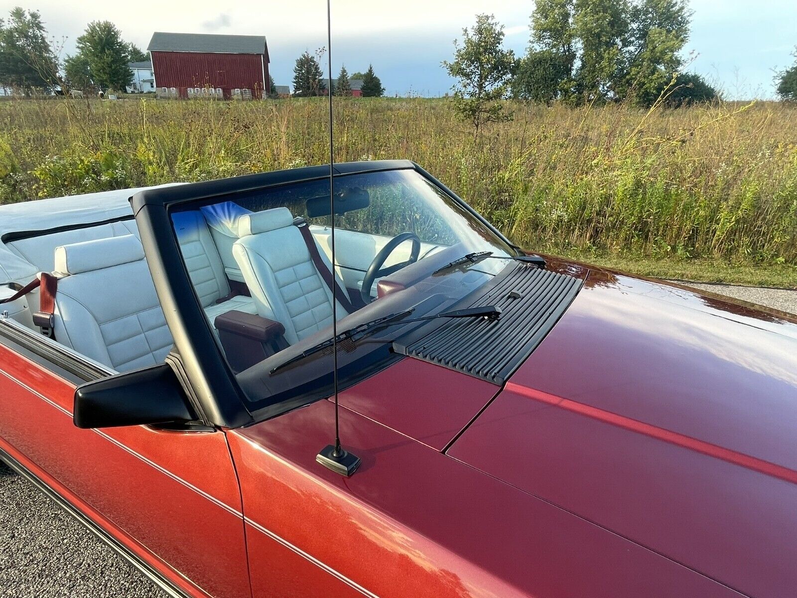 Ford-Mustang-Cabriolet-1984-18