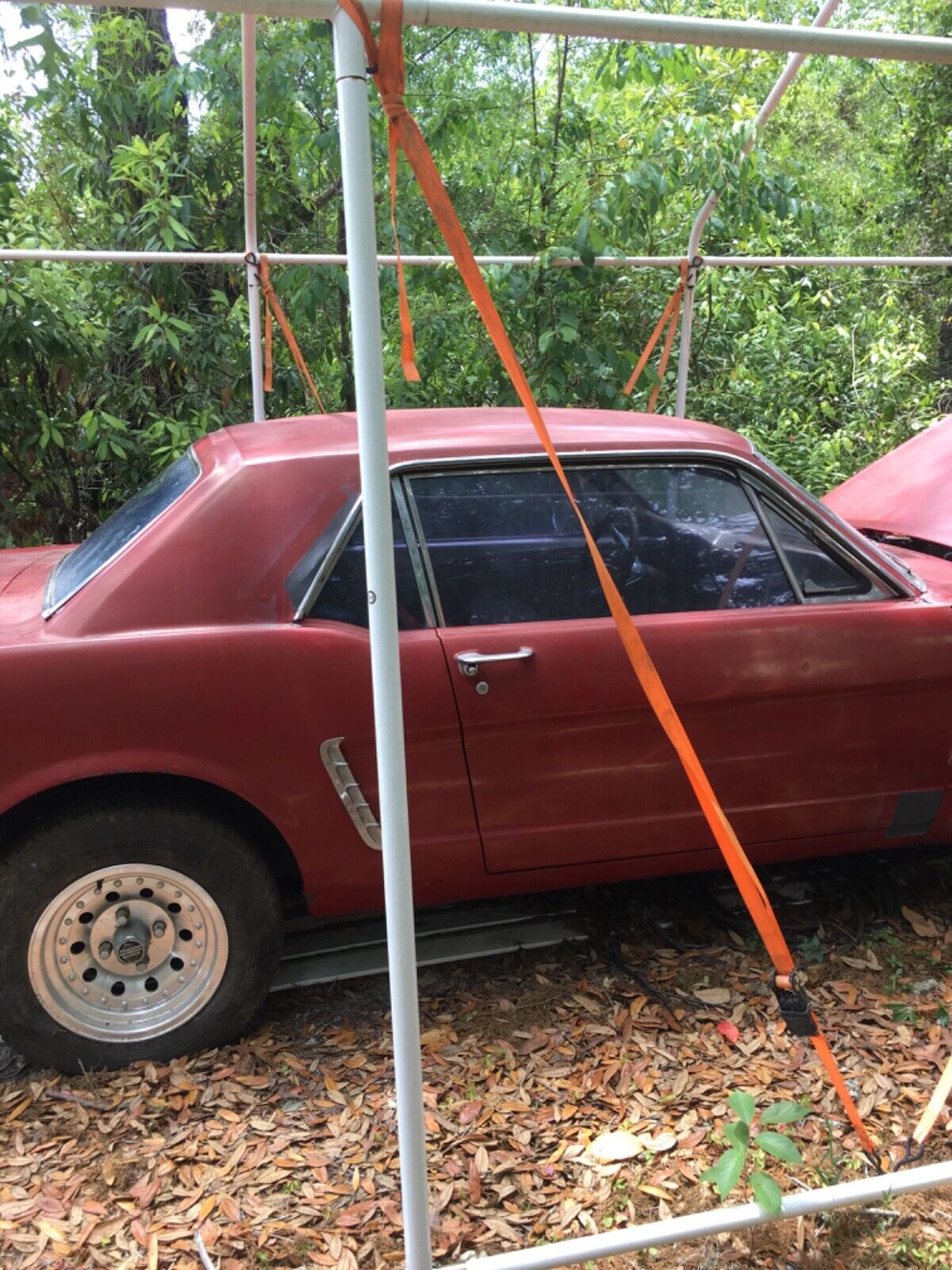 Ford Mustang Coupe 1965 à vendre