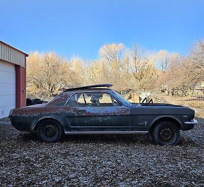 Ford-Mustang-Coupe-1965-Green-16092-4