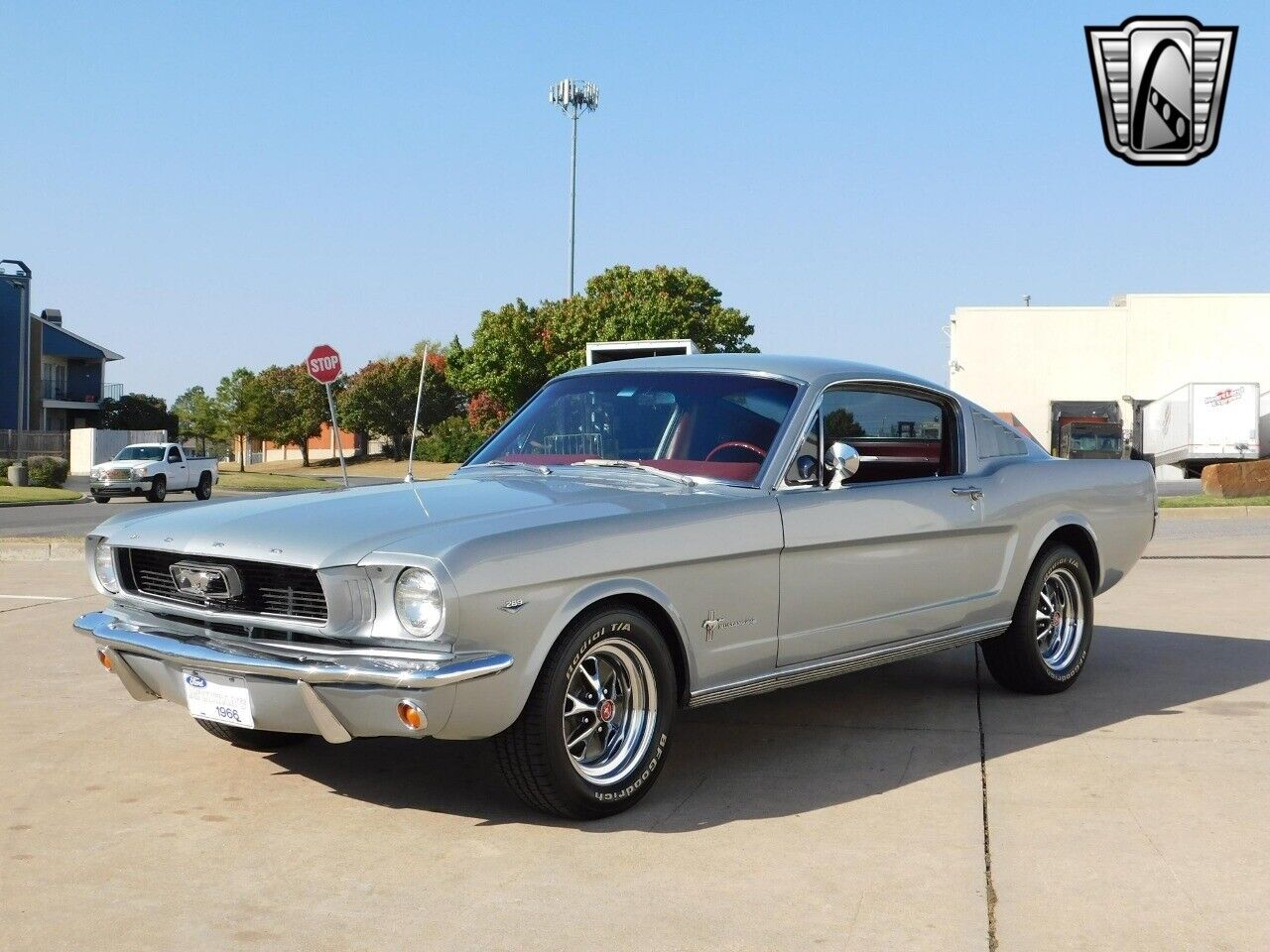 Ford-Mustang-Coupe-1966-Gray-Red-80952-2