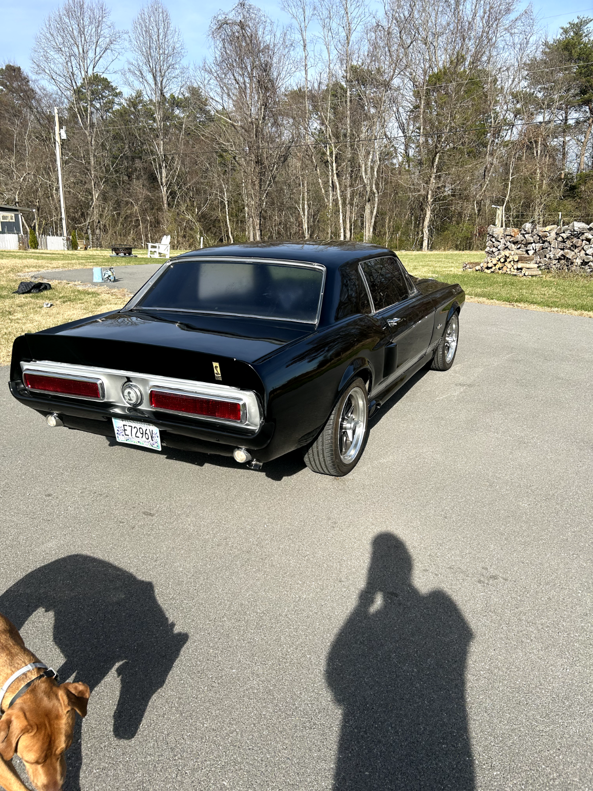 Ford-Mustang-Coupe-1967-Black-Black-0-1