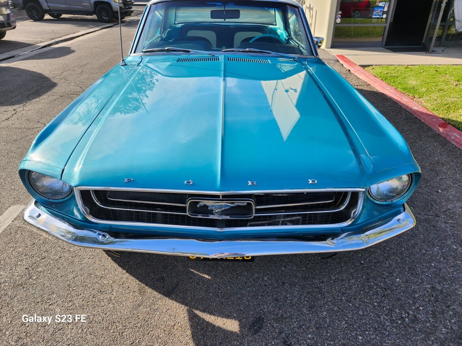 Ford-Mustang-Coupe-1967-Blue-Blue-166577-8