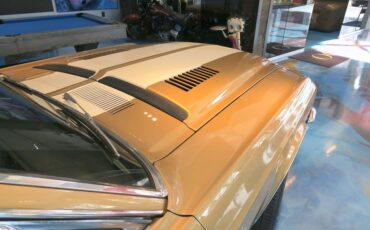 Ford-Mustang-Coupe-1968-Gold-Black-114244-13