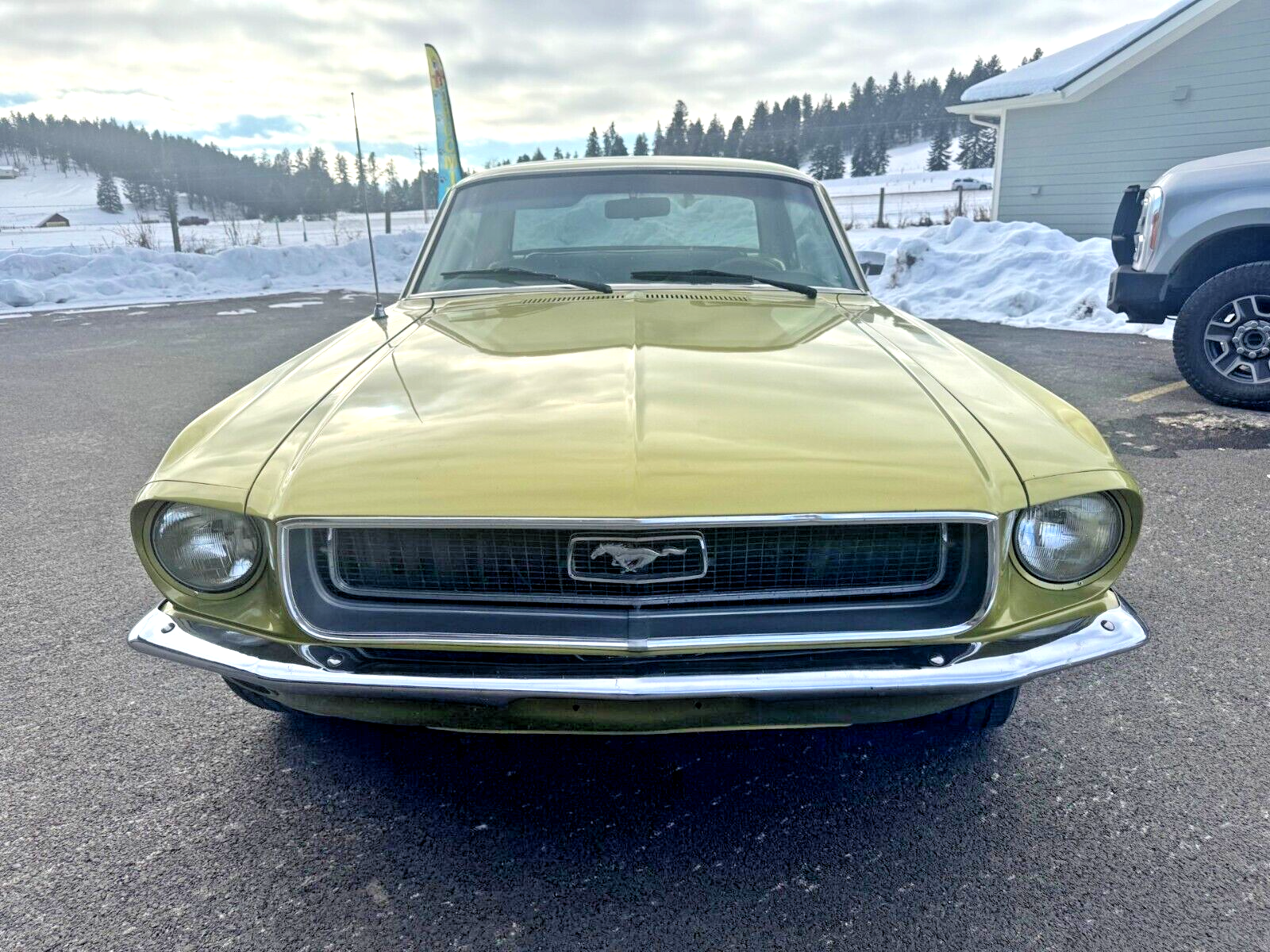 Ford-Mustang-Coupe-1968-Green-125748-1