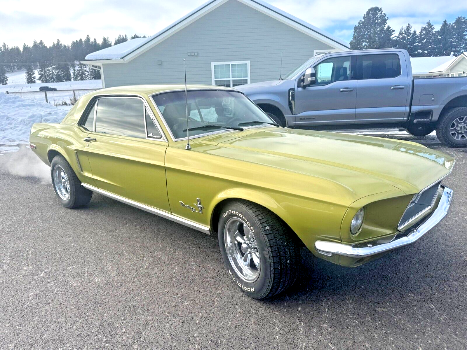 Ford-Mustang-Coupe-1968-Green-125748-2