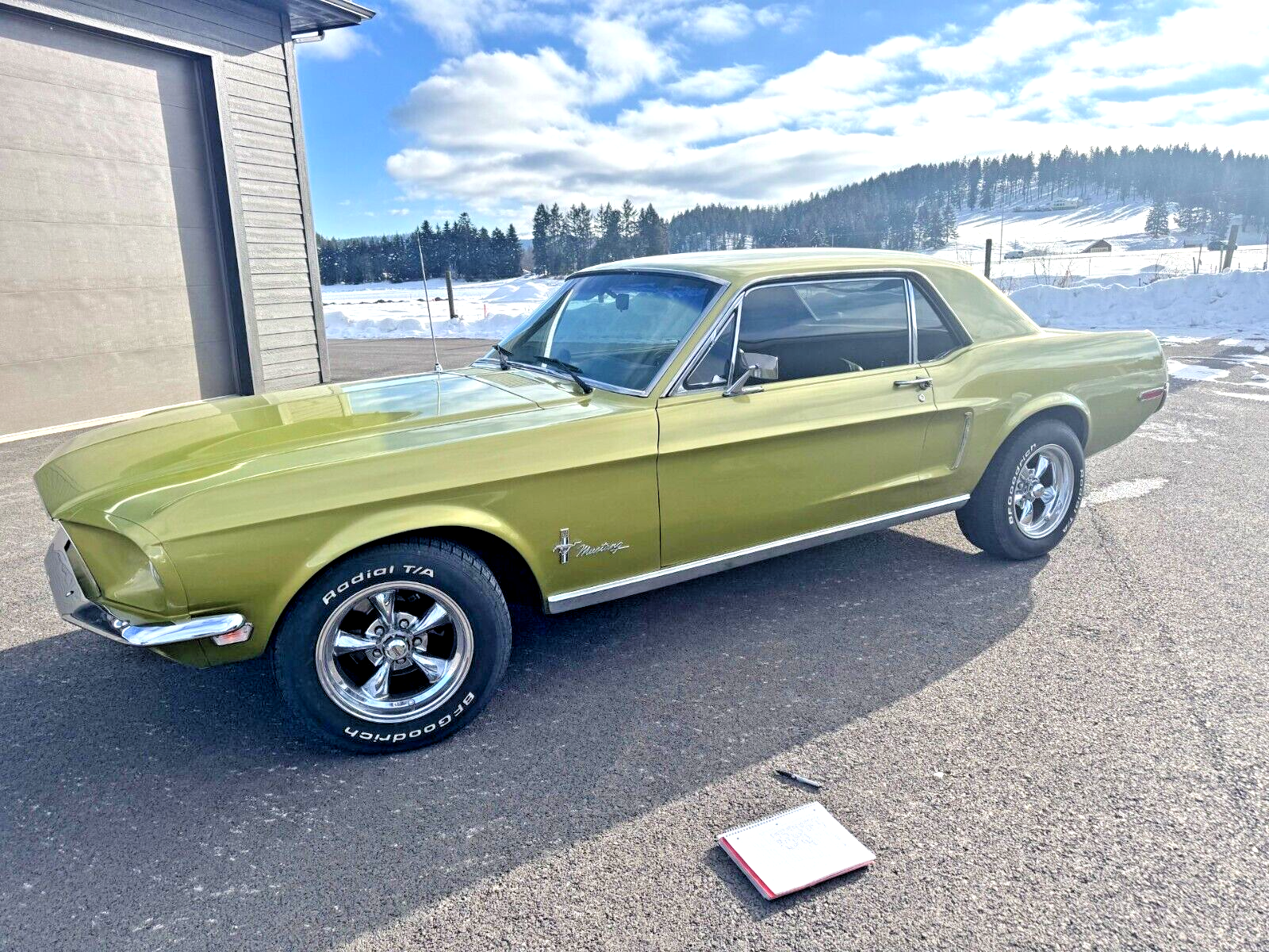 Ford-Mustang-Coupe-1968-Green-125748-28