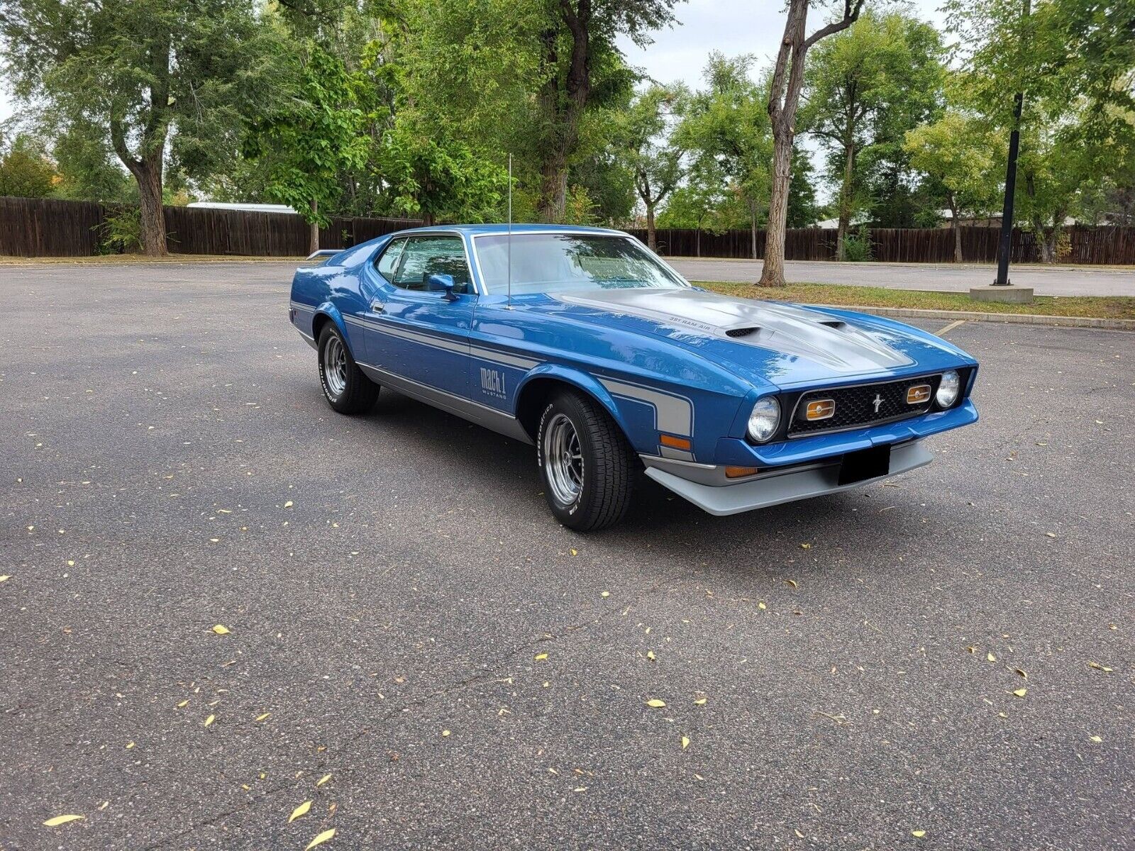 Ford-Mustang-Coupe-1972-Blue-Blue-67592-1