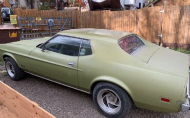 Ford-Mustang-Coupe-1973-Green-72113-3