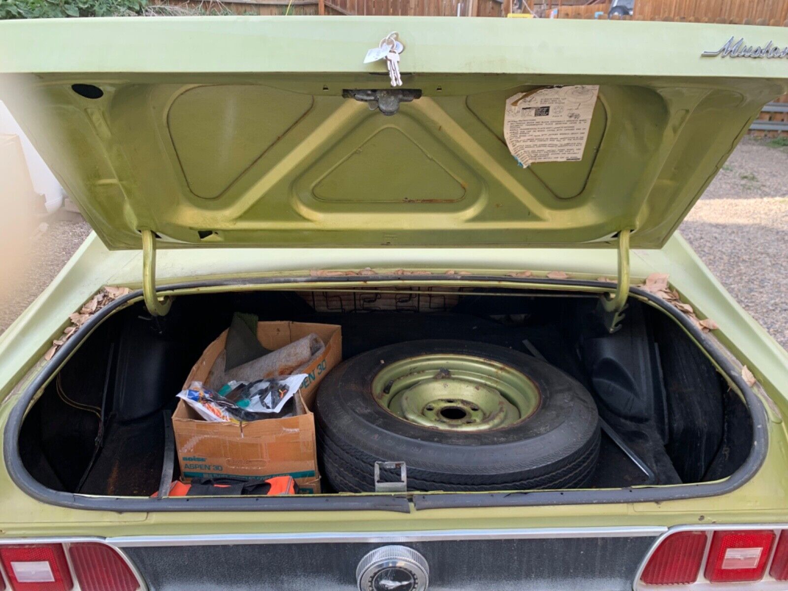 Ford-Mustang-Coupe-1973-Green-72113-8