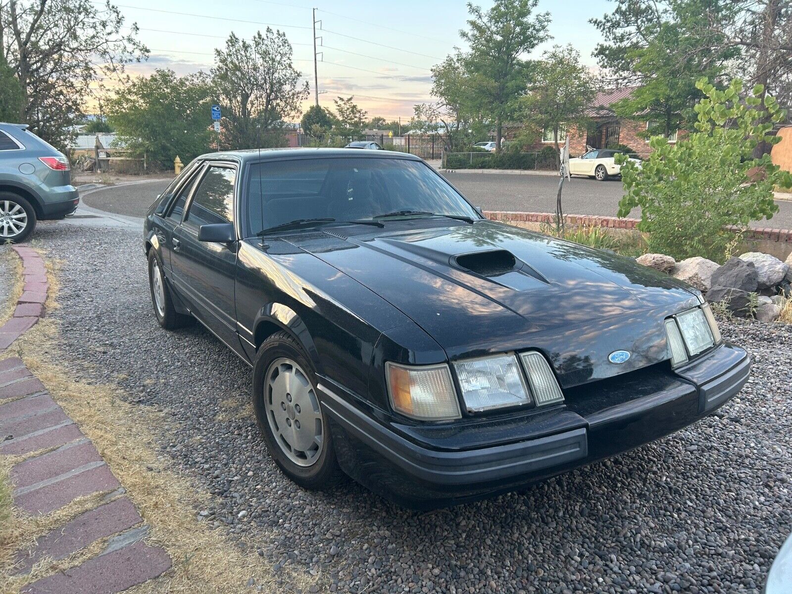 Ford-Mustang-Coupe-1985-Gray-152117-2