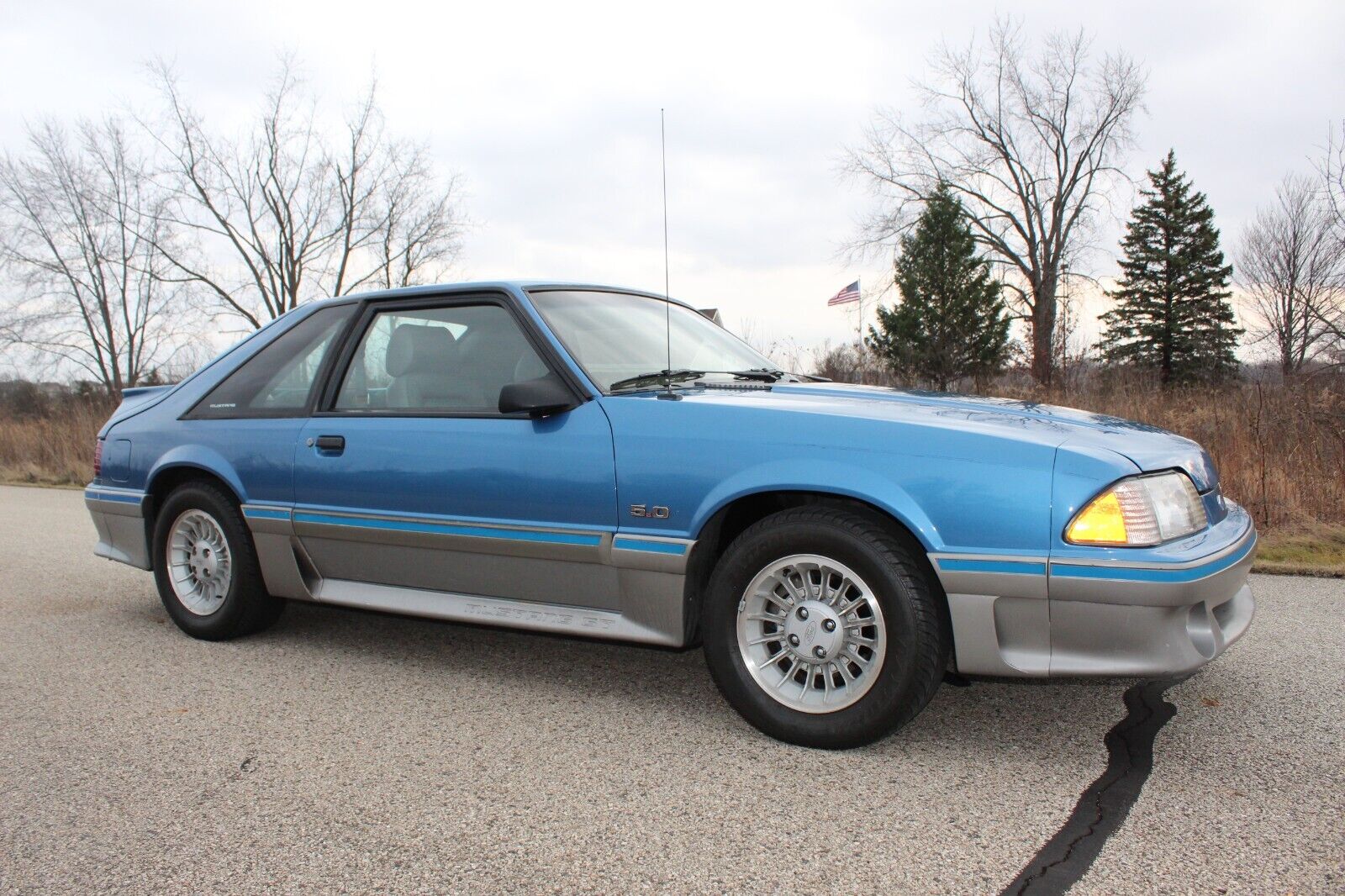 Ford-Mustang-Coupe-1989-Blue-188937-15