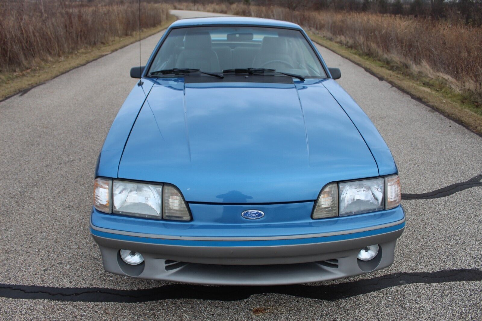 Ford-Mustang-Coupe-1989-Blue-188937-16